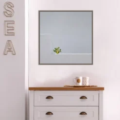 22" X 22" Solo Succulent By Rolf Endermann Framed Canvas Wall Art Gray Wash - Amanti Art 17 22" X 22" Solo Succulent By Rolf Endermann Framed Canvas Wall Art Gray Wash - Amanti Art -Decoration Series Shop GUEST 02e0e5a3 8e99 427c a559 ad5ea08a171d