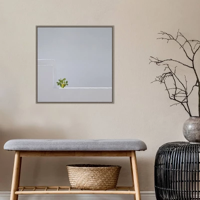 22" X 22" Solo Succulent By Rolf Endermann Framed Canvas Wall Art Gray Wash - Amanti Art 9 22" X 22" Solo Succulent By Rolf Endermann Framed Canvas Wall Art Gray Wash - Amanti Art - Image 7