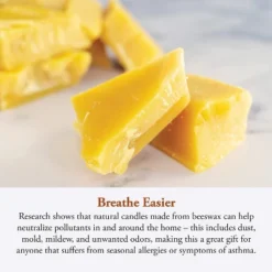 Candle By The Hour 144-Hour Candle Refill, Eco-friendly Natural Beeswax With Cotton Wick 7 Candle By The Hour 144-Hour Candle Refill, Eco-friendly Natural Beeswax With Cotton Wick -Decoration Series Shop GUEST 1be736d2 98df 44a4 a9c7 7790105f7a35