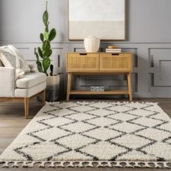 NuLOOM Michelle Diamond Trellis Tassel Area Rug -Decoration Series Shop GUEST 3cb63af2 28d5 45aa 929c ae84540e0762