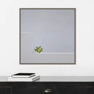 22" X 22" Solo Succulent By Rolf Endermann Framed Canvas Wall Art Gray Wash - Amanti Art 7 22" X 22" Solo Succulent By Rolf Endermann Framed Canvas Wall Art Gray Wash - Amanti Art - Image 5