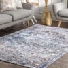 NuLOOM Vintage Lilah Medallion Area Rug