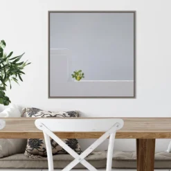 22" X 22" Solo Succulent By Rolf Endermann Framed Canvas Wall Art Gray Wash - Amanti Art 13 22" X 22" Solo Succulent By Rolf Endermann Framed Canvas Wall Art Gray Wash - Amanti Art -Decoration Series Shop GUEST 503c2573 0d92 46a2 85f3 586a066bc7c5