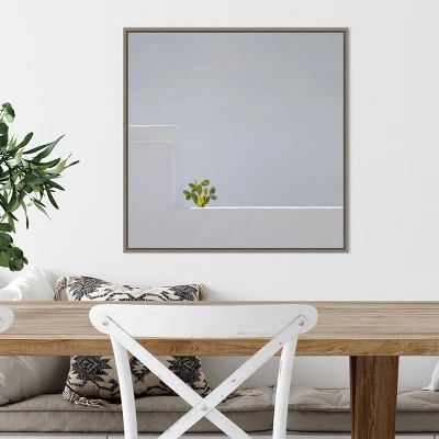 22" X 22" Solo Succulent By Rolf Endermann Framed Canvas Wall Art Gray Wash - Amanti Art 6 22" X 22" Solo Succulent By Rolf Endermann Framed Canvas Wall Art Gray Wash - Amanti Art - Image 4