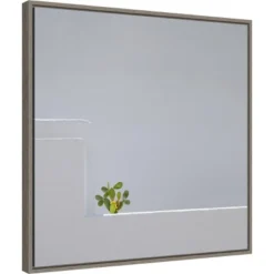 22" X 22" Solo Succulent By Rolf Endermann Framed Canvas Wall Art Gray Wash - Amanti Art