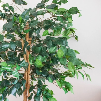 60" Artificial Ficus Tree In Pot Black - Nearly Natural 4 60" Artificial Ficus Tree In Pot Black - Nearly Natural - Image 2