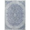 Cecily Transitional Distressed Area Rug