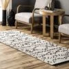 NuLOOM Jaycee Abstract Soft Shaggy Textured Fringe Area Rug -Decoration Series Shop GUEST 8b7e1b87 8cf6 4c7a 955f e3f9cb8ed97b