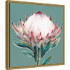 16" X 16" Blooming King Protea By Isabelle Z Framed Canvas Wall Art - Amanti Art -Decoration Series Shop GUEST b534655d ada4 4ac2 adb5 0df4e3a17c82