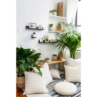 Command Display Ledges 8 Command Display Ledges - Image 6