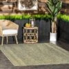 NuLOOM Serna Moroccan Indoor/Outdoor Area Rug
