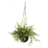 Nearly Natural 9-in Ruscus, Sedum & Springeri Hanging Basket (Set Of 3)