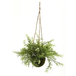 Nearly Natural 9-in Ruscus, Sedum & Springeri Hanging Basket (Set Of 3)