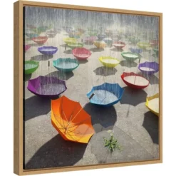 16" X 16" Downpour By Cynthia Decker Framed Canvas Wall Art - Amanti Art
