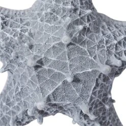 Polystone Starfish Wall Decor With Hanging Rope Gray - Olivia & May 15 Polystone Starfish Wall Decor With Hanging Rope Gray - Olivia & May -Decoration Series Shop GUEST ee60b9da e7a1 4bbf b423 49f37f95599e