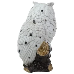 Northlight 6" White Owl Perched On A Branch Outdoor Garden Statue -Decoration Series Shop GUEST f28a2e98 61af 45c1 a855 994886865c3d